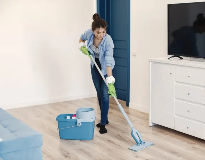 Femme de ménage Salt-en-Donzy